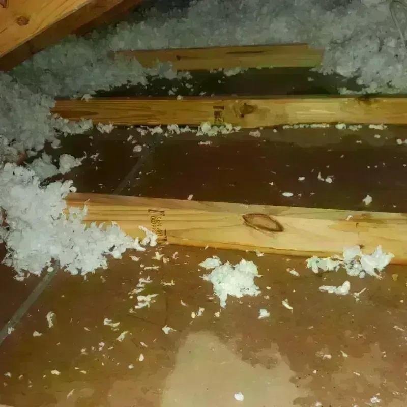 Attic Water Damage in Henry Fork, VA